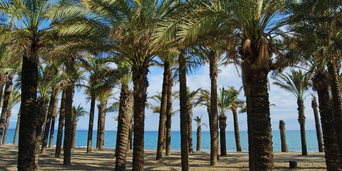 Appartement Apartamento Carole Playa Bajondillo Torremolinos Beach - Playa A 30 Segundos - Wifi - Parking - Terraza Extérieur photo